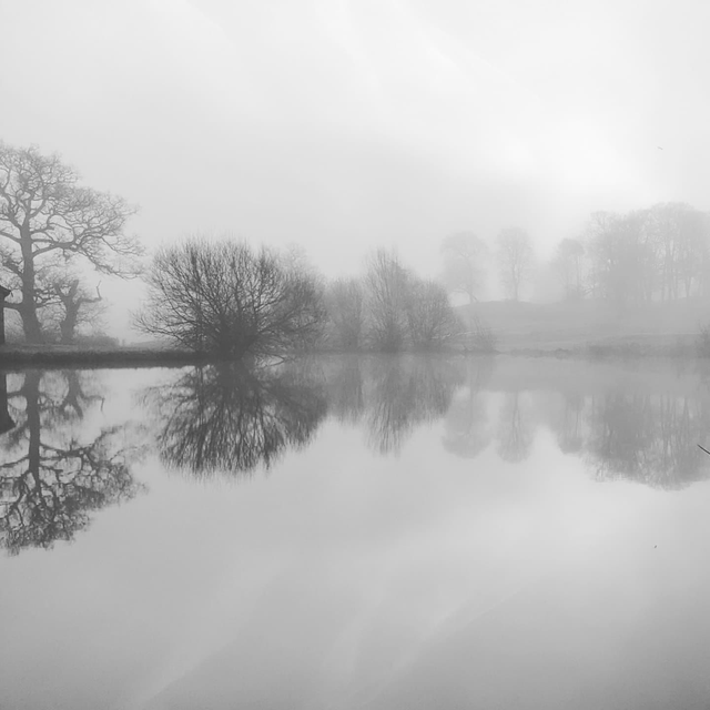 'Reflections'