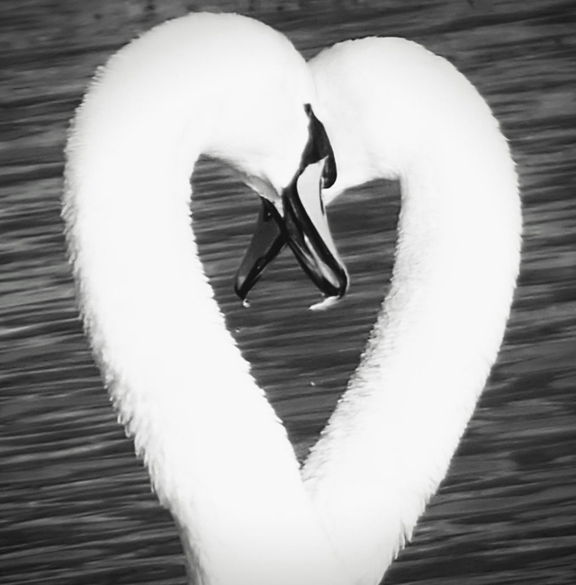 'Love on the Avon'