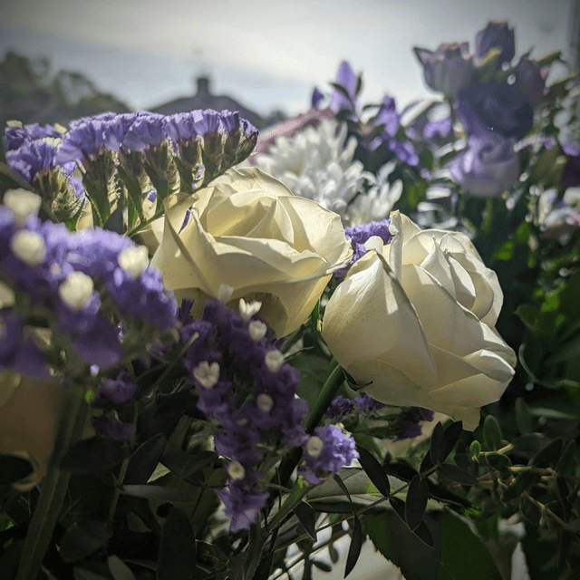 'Bouquet'