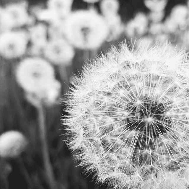 &#039;Clocks&#039;