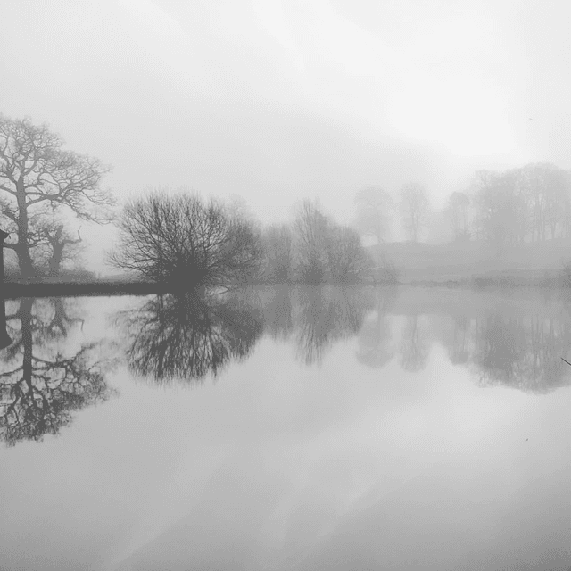 &#039;Reflections&#039;