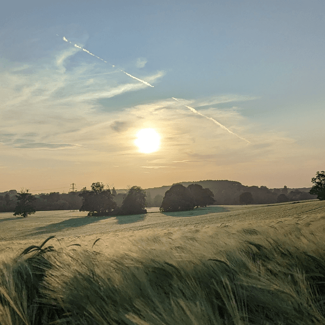 &#039;Fields of green&#039;