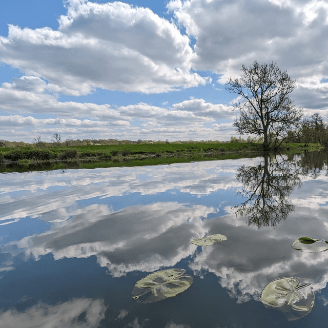 &#039;Reflections on theAvon&#039;
